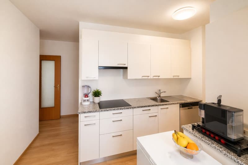 3.5 locali, ristrutturato con box privato, Paradiso AV096-22 (5)