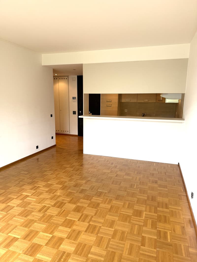 Centralissimo 2.5 locali nel cuore di Lugano (4)