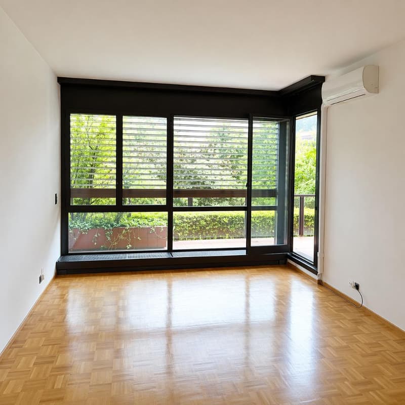 Centralissimo 2.5 locali nel cuore di Lugano (6)