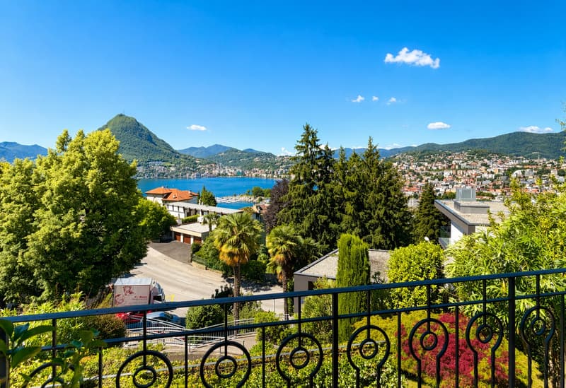 Appartamento 4.5 locali con vista aperta su lago e montagne (1)