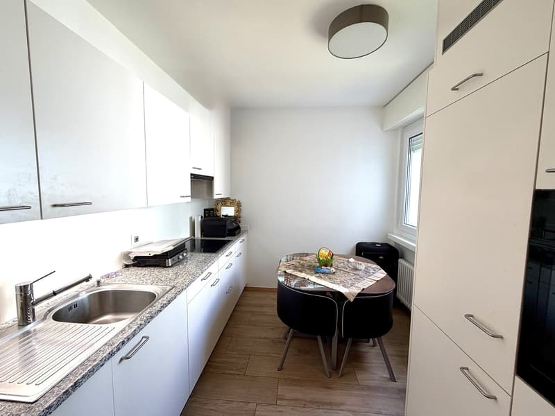 2.5 locali, ristrutturato, balcone e box privato, Paradiso (AV094 – PPP 9) (2)