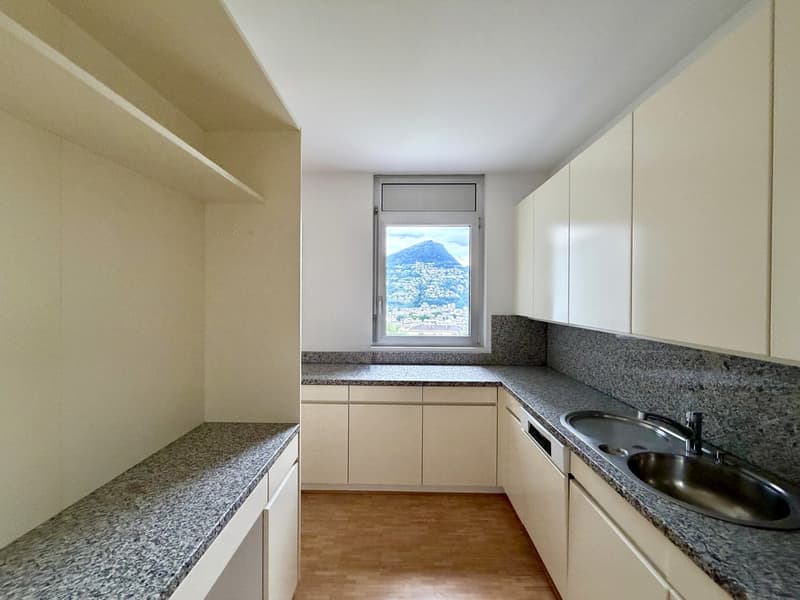 3.5 locali con terrazza e vista lago AA 112 (10)