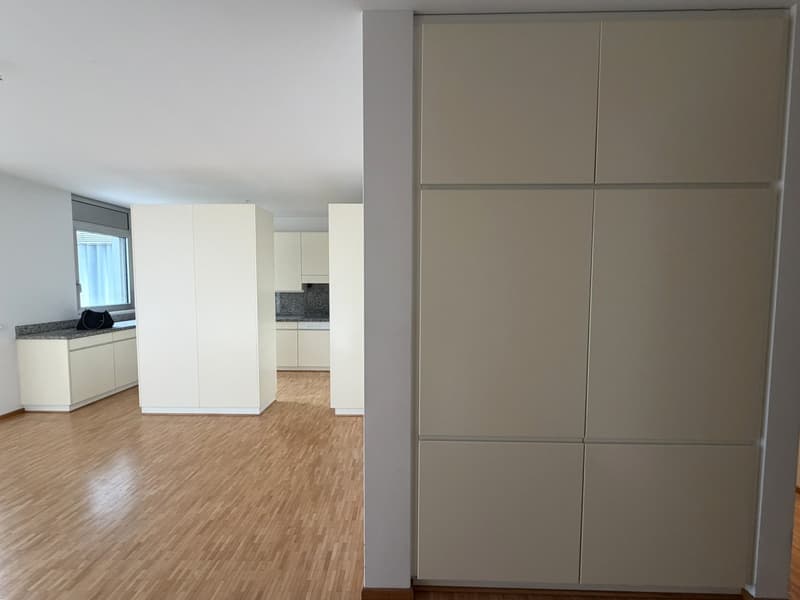 3.5 locali con terrazza e vista lago AA 112 (11)