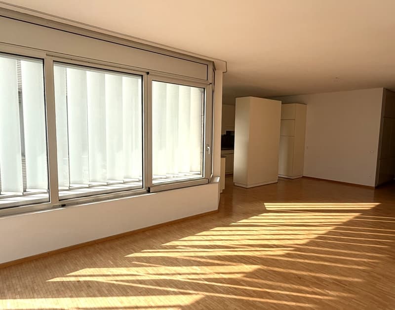 3.5 locali con terrazza e vista lago AA 112 (6)