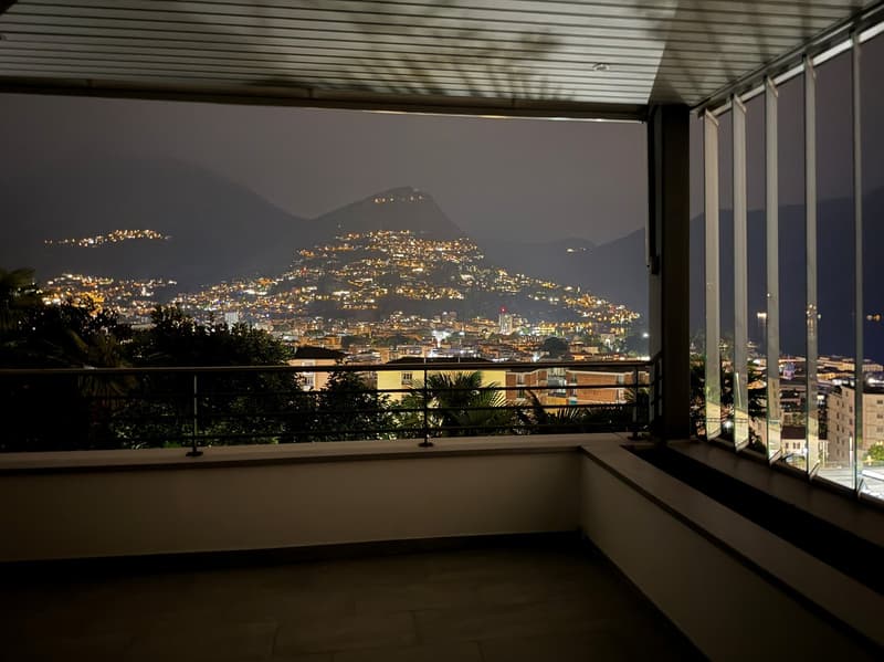3.5 locali con terrazza e vista lago AA 112 (26)