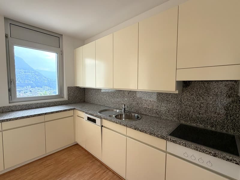 3.5 locali con terrazza e vista lago AA 112 (9)