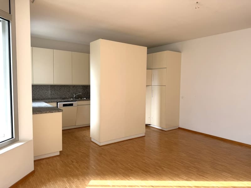 3.5 locali con terrazza e vista lago AA 112 (8)
