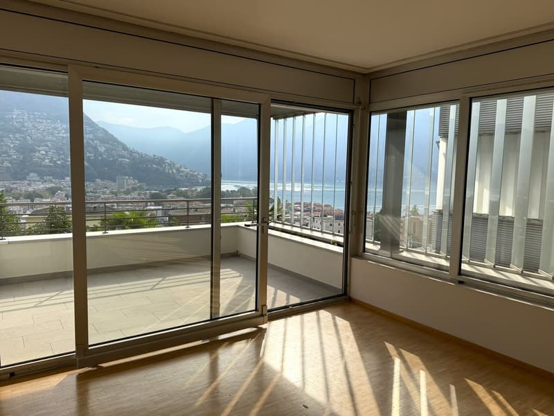 3.5 locali con terrazza e vista lago AA 112 (4)