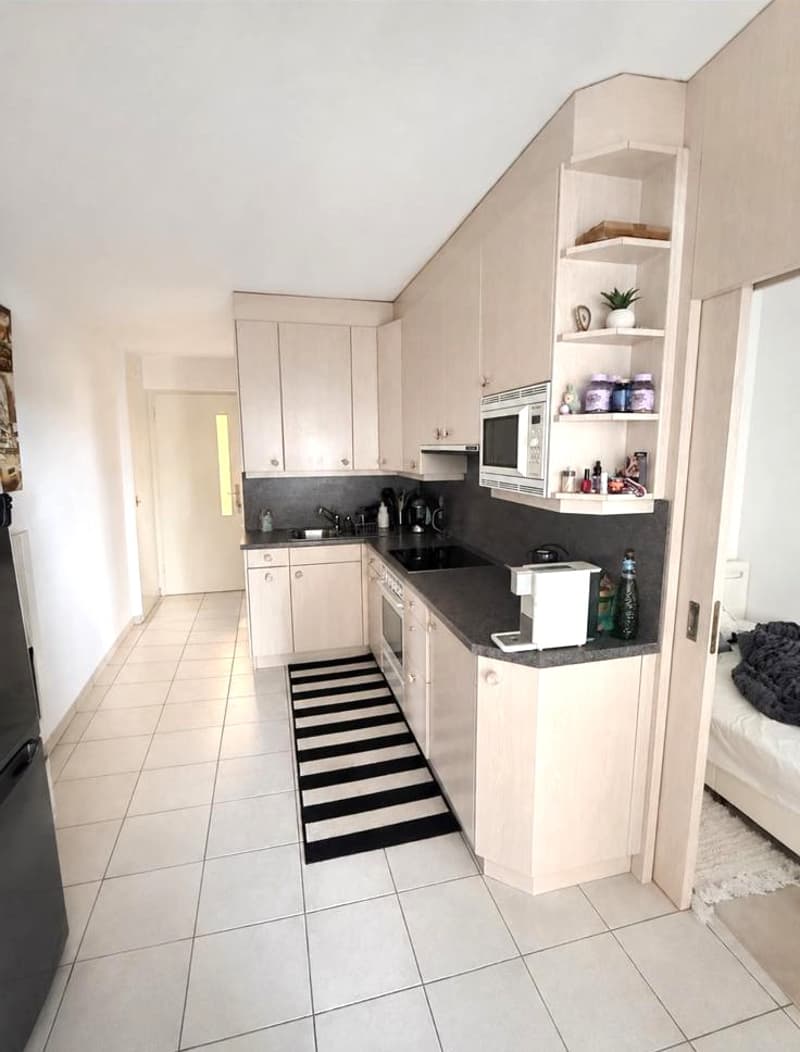 Funzionale appartamento 1.5 locali con vista lago (4)