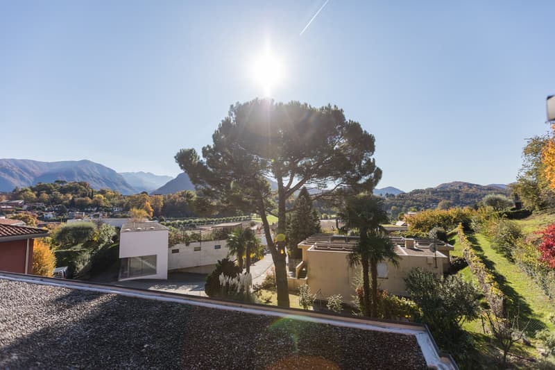 View of multiple houses and mountain background, lush greenery, tree, clear blue sky, sun shining