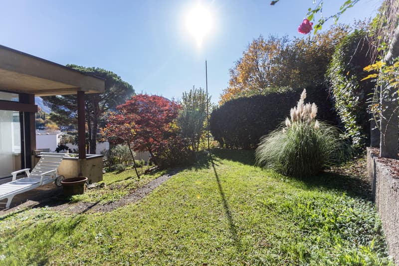 Green grassy lawn, various shrubs and trees, wooden lounger on patio, clear blue sky