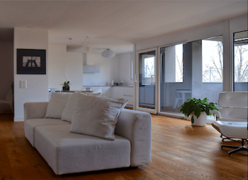 wooden floor, couch with pillows, glass doors, glass windows, potted plant
