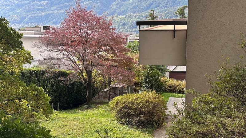 The image shows a well-maintained outdoor garden with a blooming cherry blossom tree, lush greenery, and a modern building with a balcony or terrace in the background. The garden appears to be situated in a mountainous area with a scenic view.