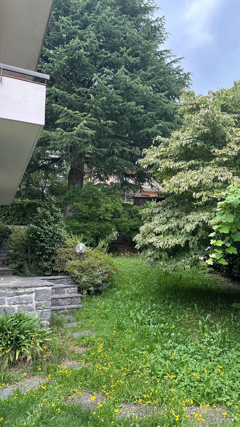 The image shows a lush, green outdoor garden area with a variety of trees, shrubs, and flowering plants. There is a stone pathway leading through the garden, and a building with a balcony or terrace visible in the background.
