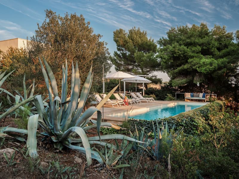 Outdoor pool, lounge chairs, umbrellas, plants, trees, bushes, rocks