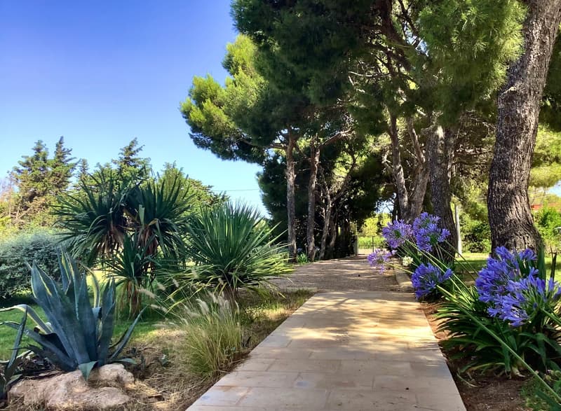 A garden with a stone pathway, surrounded by tall trees, shrubs, and flowers. The pathway leads to a grassy area with a view of the trees and plants.
