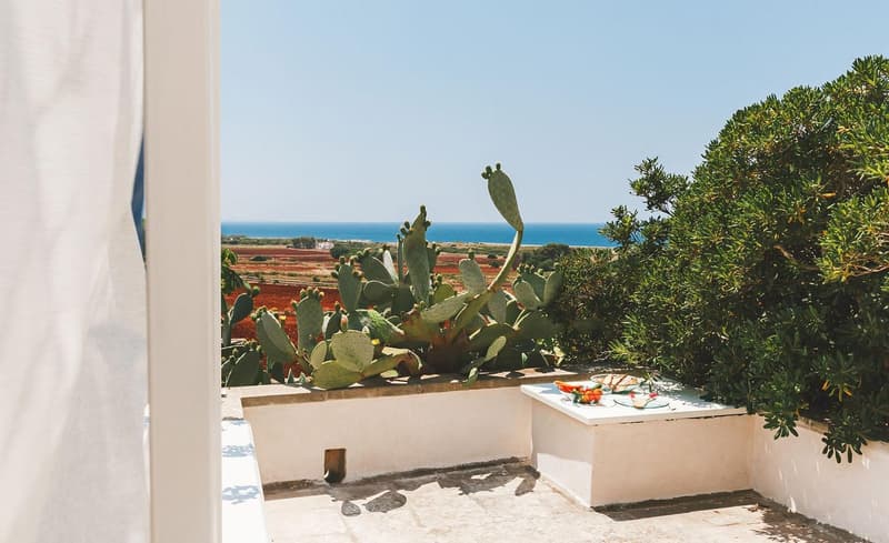 Outdoor area with a cactus plant, white walls, and a view of the ocean and landscape