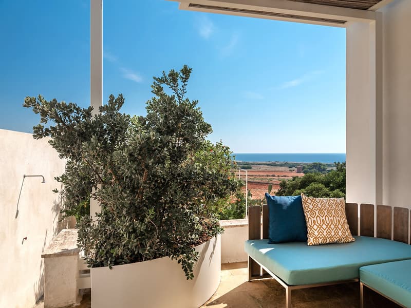Outdoor terrace with a view of the sea, a large potted plant, a wooden bench with cushions, and a wall-mounted shower.