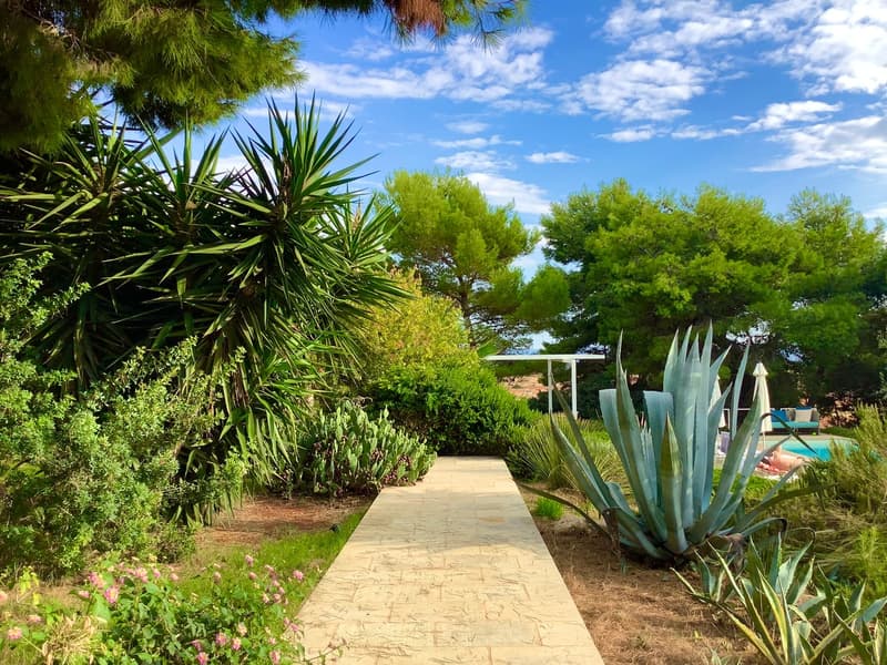 Garden with a stone pathway, surrounded by various plants and trees, leading to a swimming pool with lounge chairs and umbrellas.