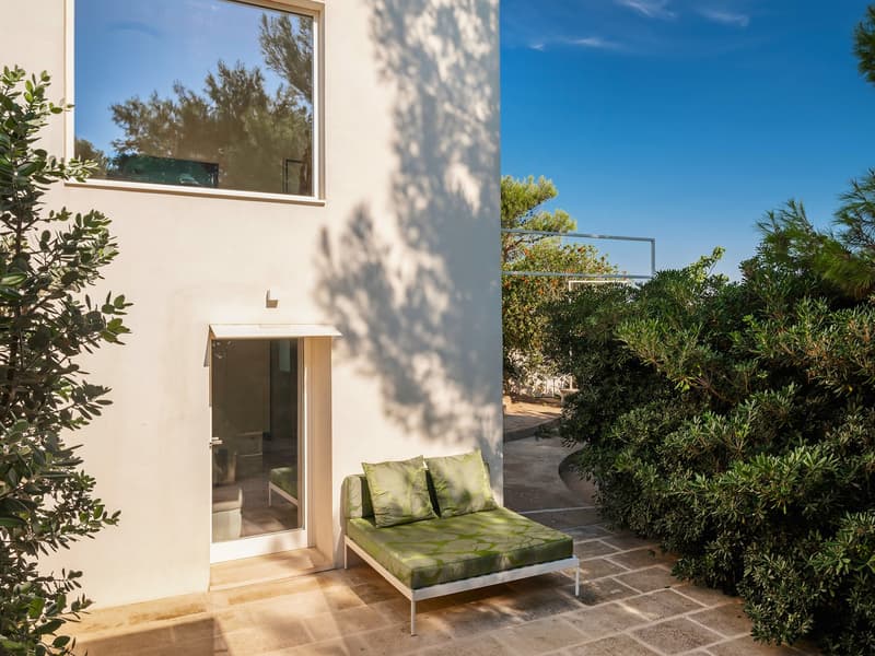 White building with glass window, glass door, outdoor couch, green plants