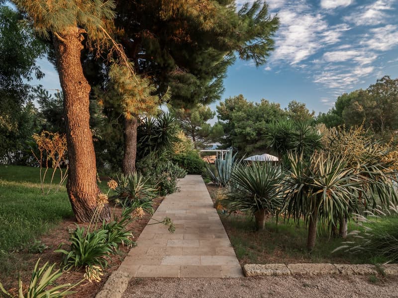 stone pathway, various plants, trees, grassy area, clear sky