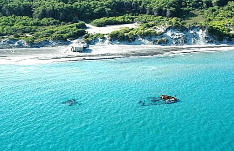 aerial view of a beach with a shipwreck in the water