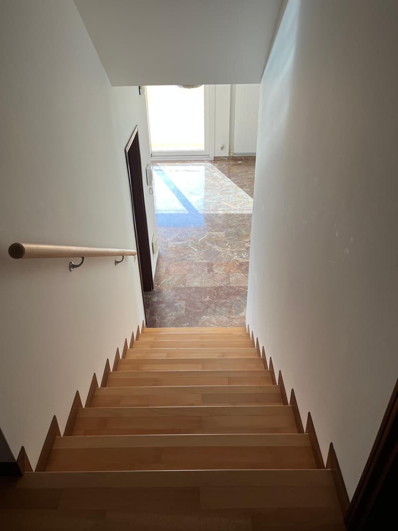 MENDRISIO: Dans un quartier calme et résidentiel, nous vendons une grande maison lumineuse avec vue ouverte. (12)