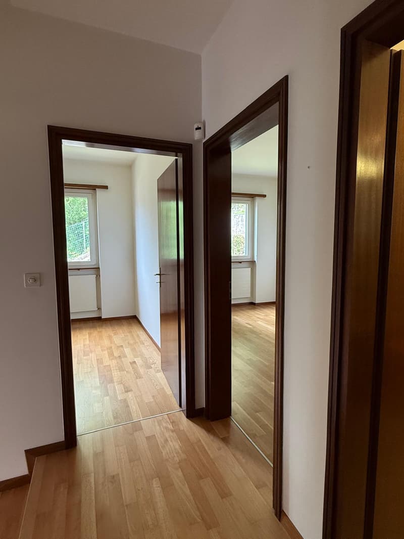 MENDRISIO: Dans un quartier calme et résidentiel, nous vendons une grande maison lumineuse avec vue ouverte. (14)
