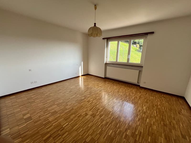 MENDRISIO: Dans un quartier calme et résidentiel, nous vendons une grande maison lumineuse avec vue ouverte. (15)