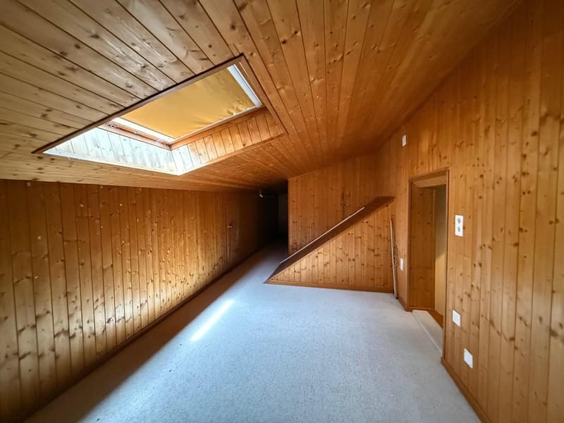 MENDRISIO: Dans un quartier calme et résidentiel, nous vendons une grande maison lumineuse avec vue ouverte. (22)