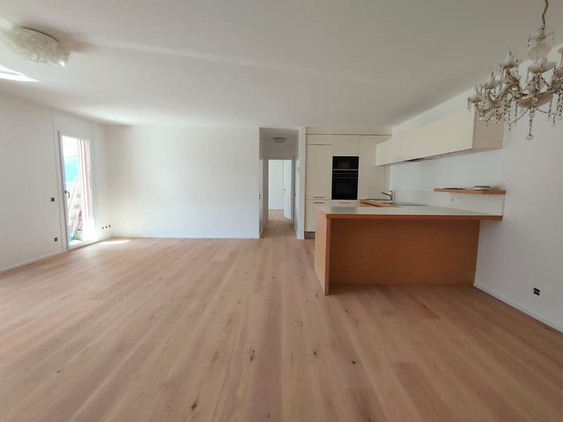 Bissone - Appartement exclusif avec jardin et vue à couper le souffle sur le lac de Lugano (11)