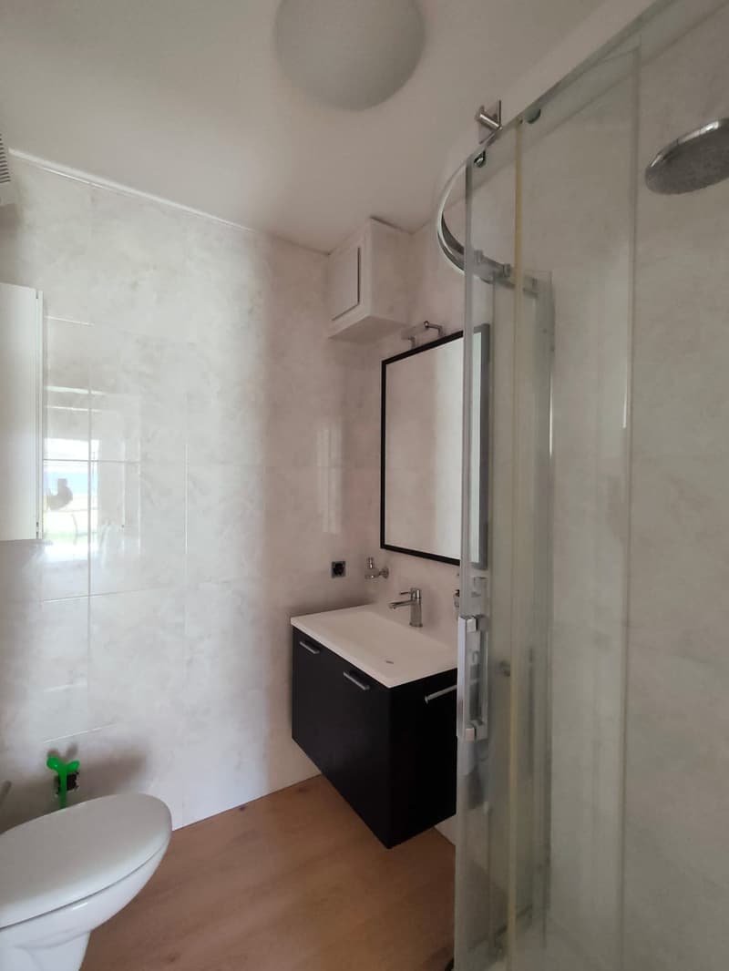 Bissone - Appartement exclusif avec jardin et vue à couper le souffle sur le lac de Lugano (13)