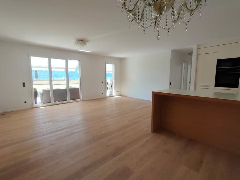 Bissone - Appartement exclusif avec jardin et vue à couper le souffle sur le lac de Lugano (7)