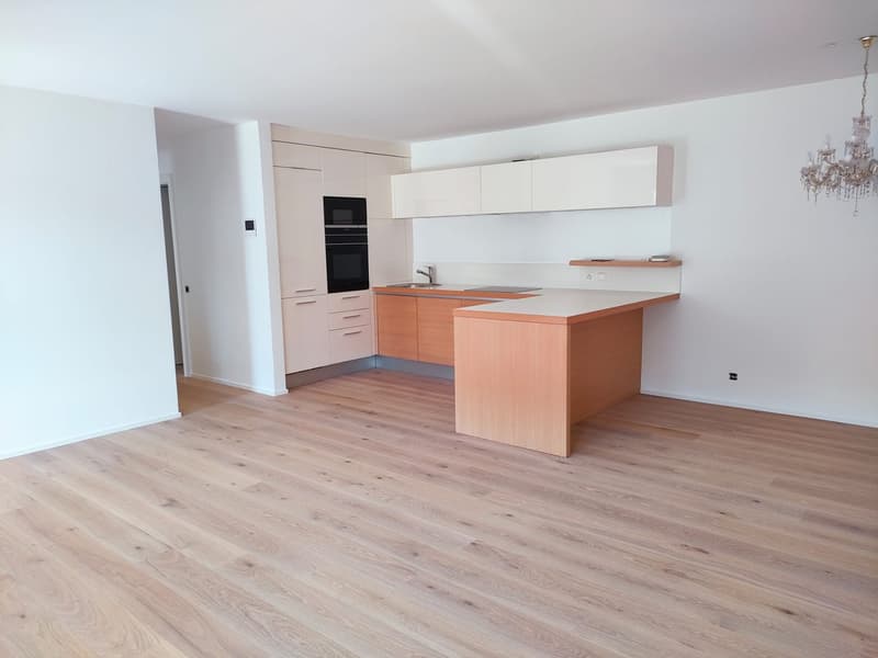 Bissone - Appartement exclusif avec jardin et vue à couper le souffle sur le lac de Lugano (9)