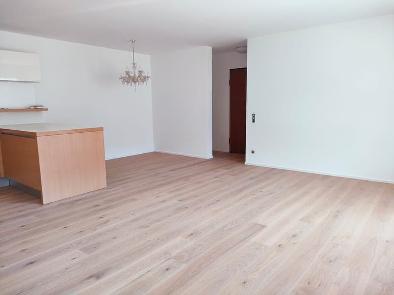 Bissone - Appartement exclusif avec jardin et vue à couper le souffle sur le lac de Lugano (12)
