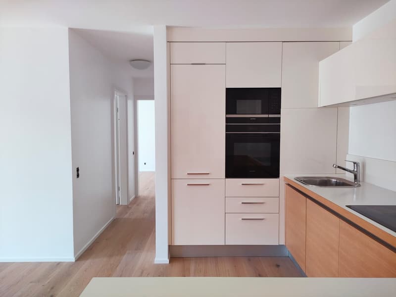 Bissone - Appartement exclusif avec jardin et vue à couper le souffle sur le lac de Lugano (10)