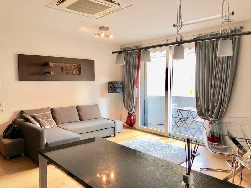 Lugano, zona centrale- In palazzina moderna affittiamo elegante appartamento 2.5 locali (7)