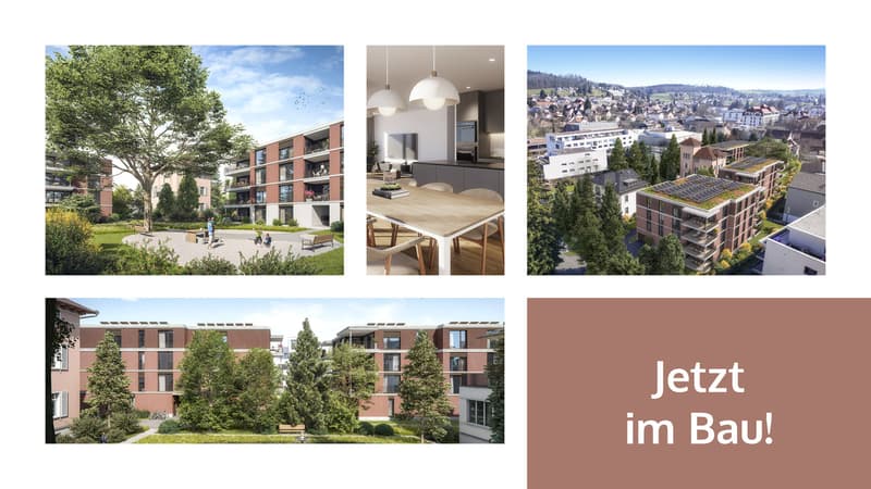 *IM STADTPARK - IHR ZUHAUSE IM GRÜNEN / 4½-ZIMMER NEUBAUWOHNUNGEN* (1)