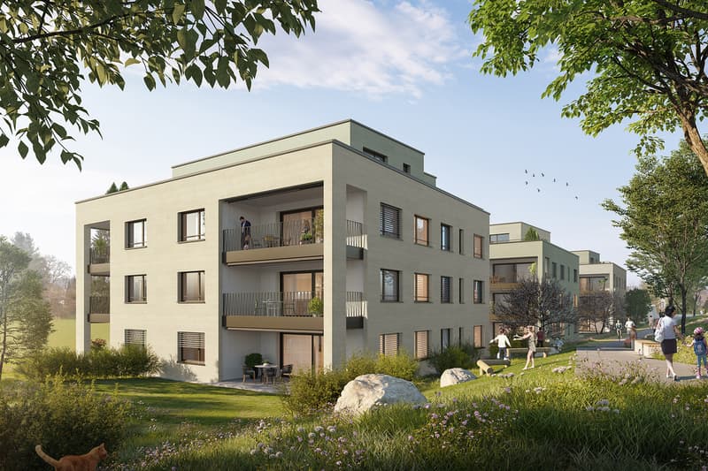 *NATÜRLICH WOHNEN, NEUMATT FULENBACH / 5 ½-ZIMMER NEUBAUWOHNUNGEN* (3)