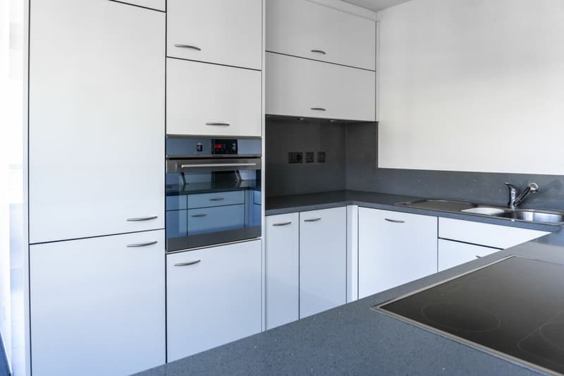 Elegant 7-room apartment with panoramic lake views (4)
