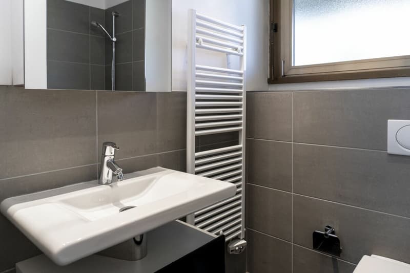 Elegant 7-room apartment with panoramic lake views (8)