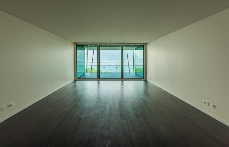Lussuoso appartamento con splendida vista lago (2)