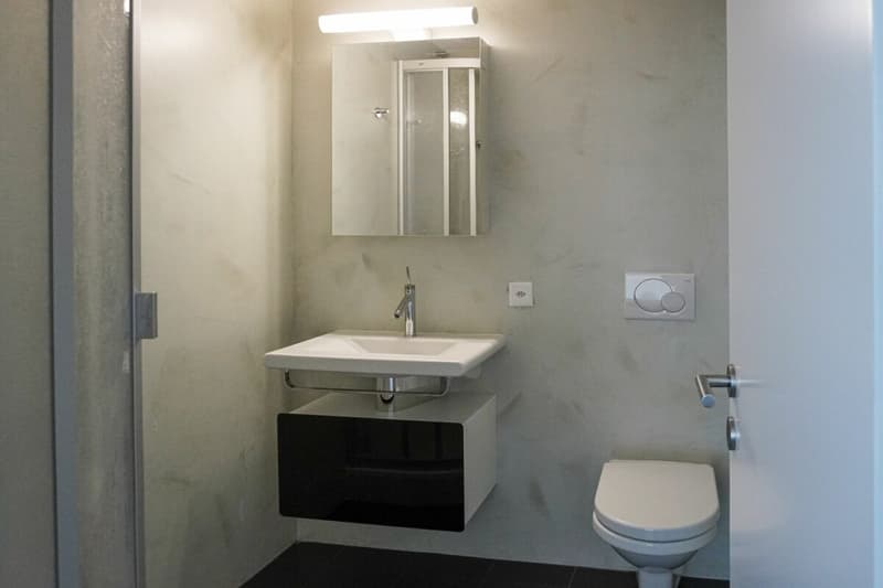 Modernes Einzimmerapartment im prestigeträchtigen Palazzo Mantegazza (5)