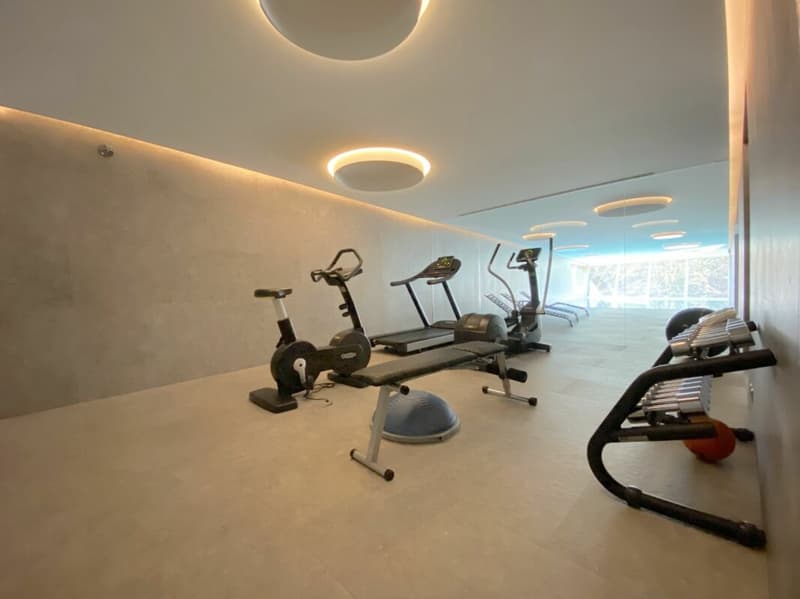 Luxury 4.5-room apartment with panoramic lake view terrace (10)