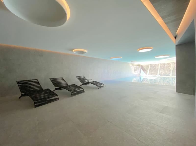 Luxury 4.5-room apartment with panoramic lake view terrace (9)
