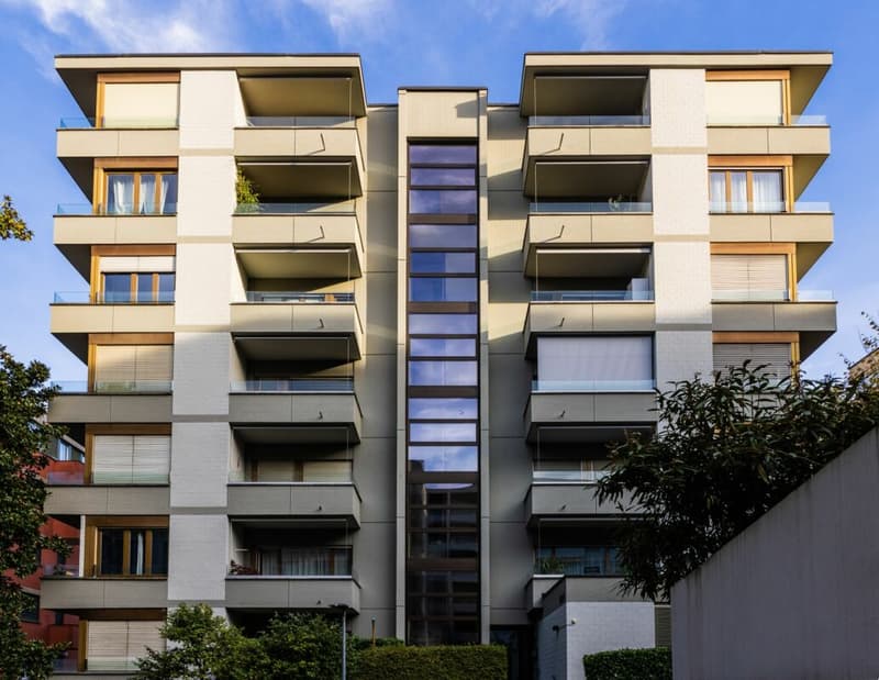 Elegante appartamento 2 locali ristrutturato con terrazza (2)