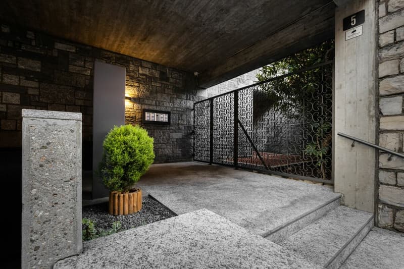 Elegante appartamento 2 locali ristrutturato con terrazza (1)