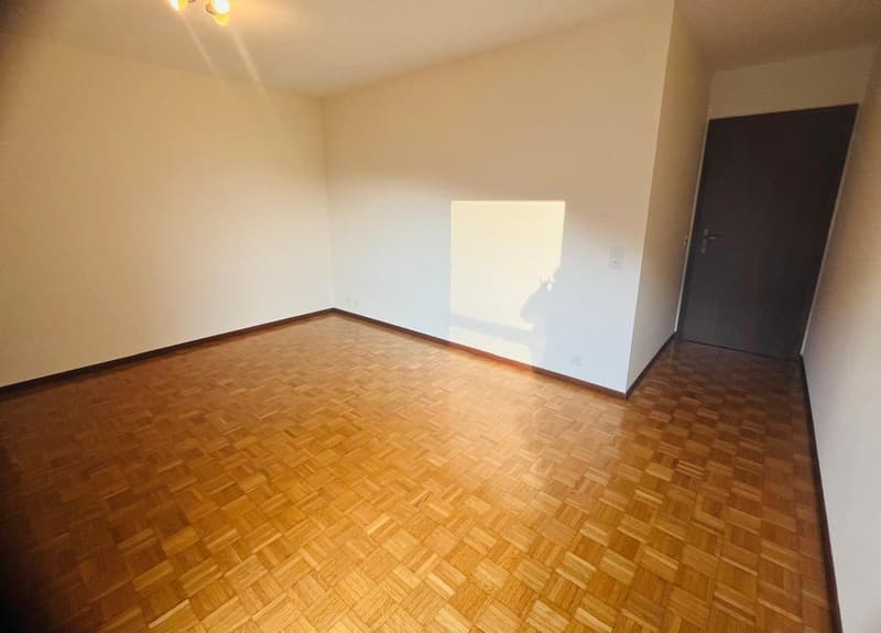 Helles 4.5-Zimmer-Apartment in Agno mit Terrassen und Parkplätzen (11)