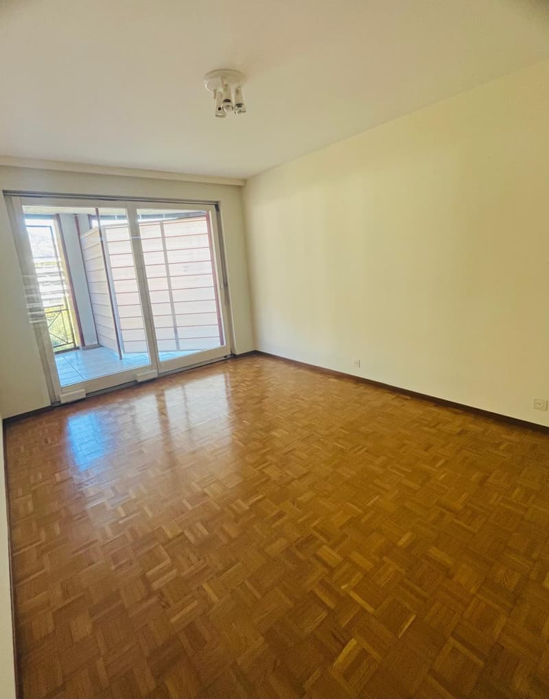 Helles 4.5-Zimmer-Apartment in Agno mit Terrassen und Parkplätzen (13)