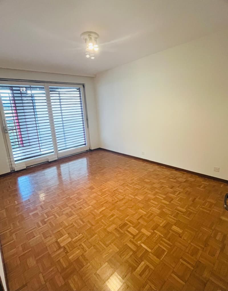 Helles 4.5-Zimmer-Apartment in Agno mit Terrassen und Parkplätzen (9)